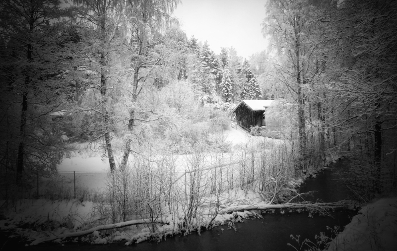 Winter 2012 in Finland - Black & White \"Cabin\" shot