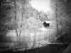 Winter 2012 in Finland - Black & White \"Cabin\" shot