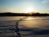 Winter 2012 in Finland - Landscape 2